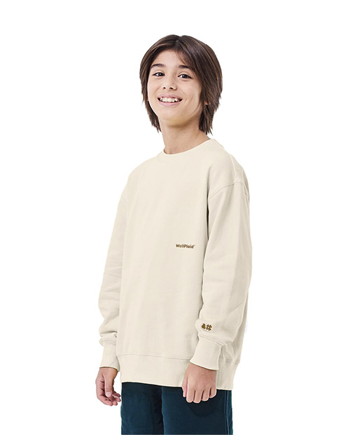 Boys Sweatshirt - Woodash