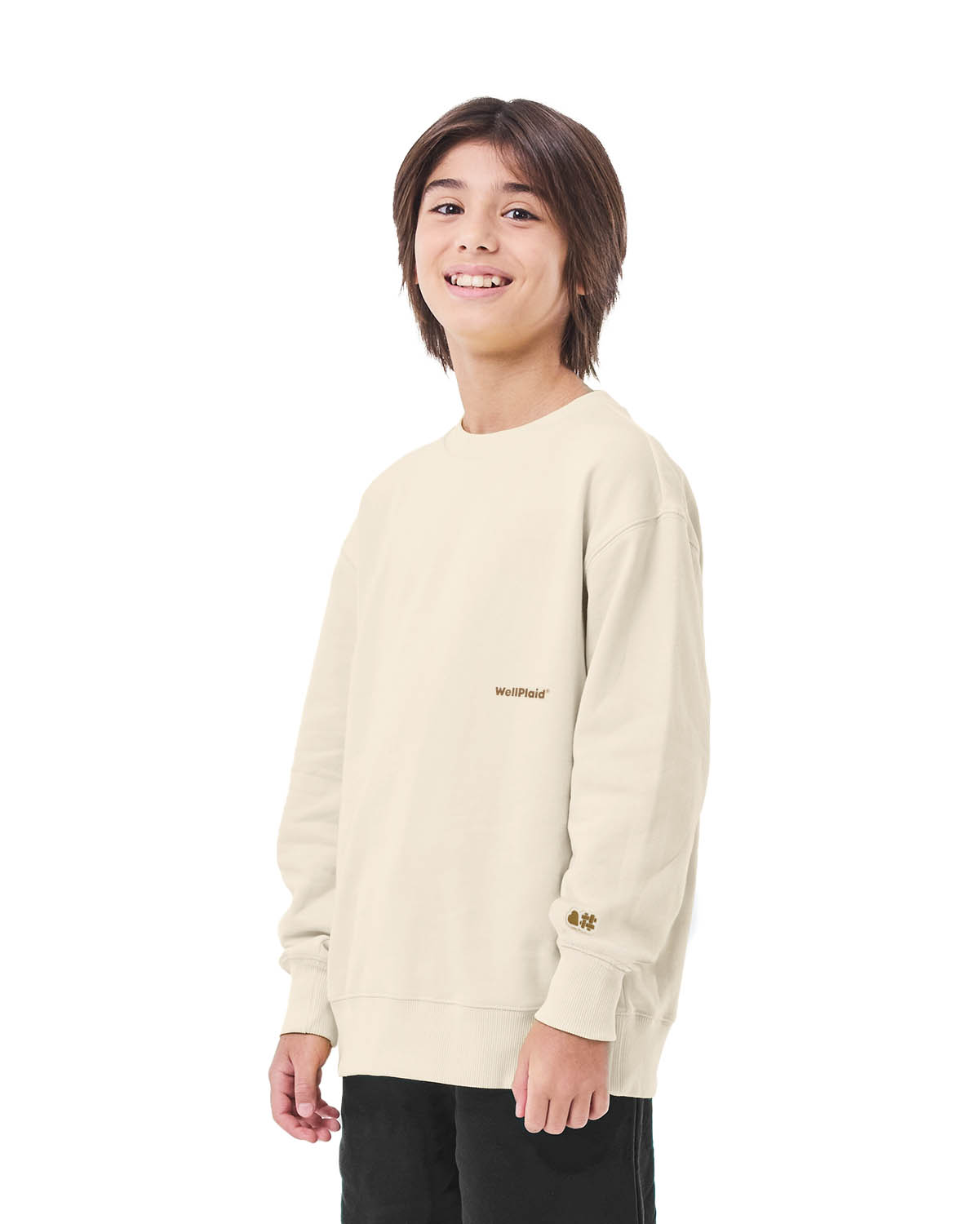 Boys Sweatshirt - Woodash image number 0