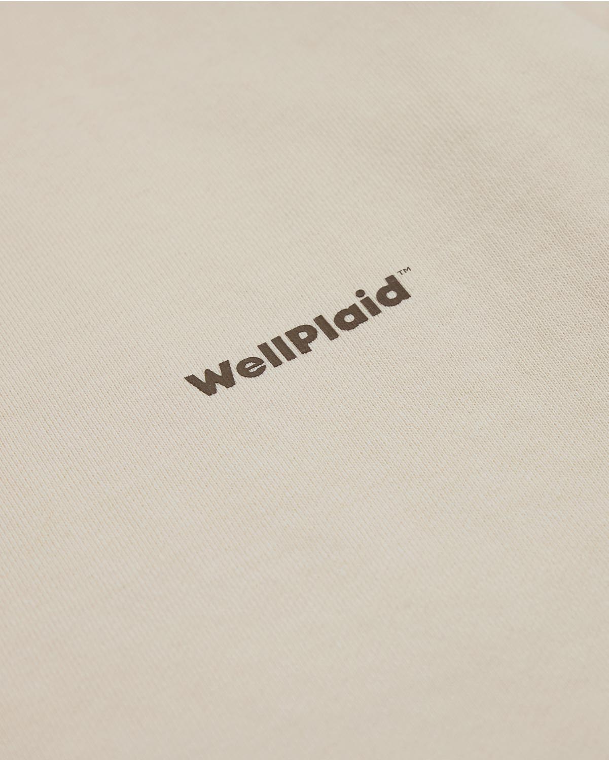 Boys Sweatshirt - Woodash image number 2